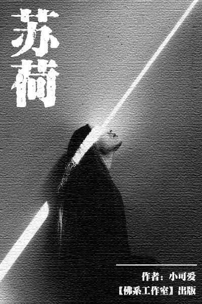 苏荷最新章节，学习变化中的自信与成就感之路
