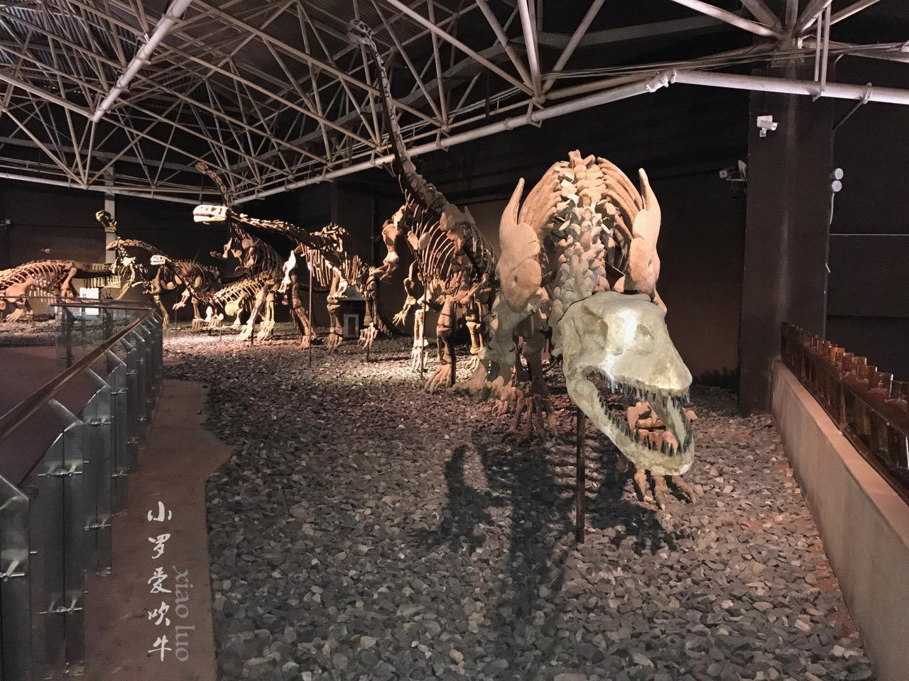 侏罗纪公园最新篇章，自然之旅的心灵觉醒