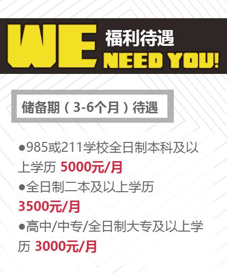 舞阳最新招聘盛大开启，科技新品引领智能生活新体验！