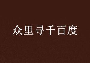千百度的发展与辉煌，追溯历程，见证特定时代的辉煌