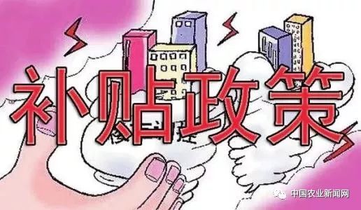 三农政策最新动态，田野新希望，春风拂面的温馨故事