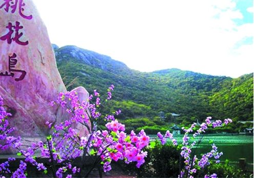 桃花岛最新网址引领科技潮流，重塑生活体验体验新篇章